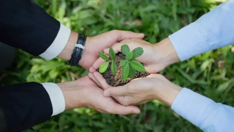 Eco Paper: certyfikat proekologicznych działań i praktyczny przewodnik po recyklingu