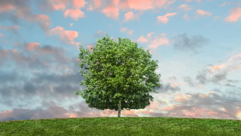 EcoVadis – co to jest i dlaczego certyfikacja ma znaczenie dla biznesu?